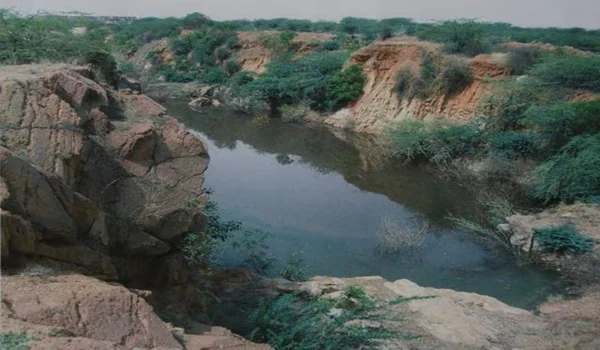 Featured Image of Aravalli Biodiversity Park